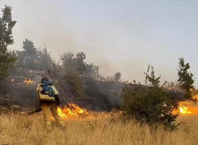 Şırnak'ta çıkan orman yangını kontrol altına alındı