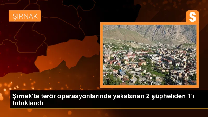 Şırnak'ta düzenlenen terör operasyonunda 1 şüpheli tutuklandı