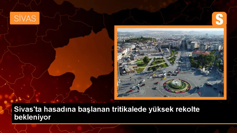 Sivas'ın Ulaş ilçesinde tritikale hasadı başladı