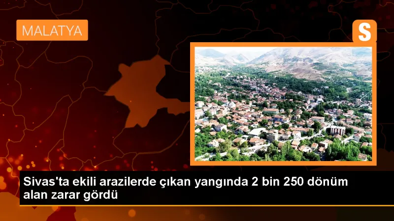 Sivas'ta çıkan yangında 2 bin 250 dönüm ekili arazi zarar gördü