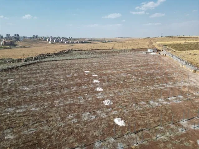 Siverek Belediyesi Güneş Enerji Santrali Yapımına Başladı