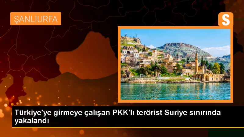 Suruç'ta PKK/PYD mensubu terörist yakalandı