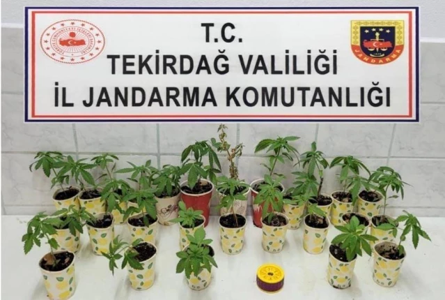 Tekirdağ'da Uyuşturucu Operasyonunda 5 Kişi Gözaltına Alındı