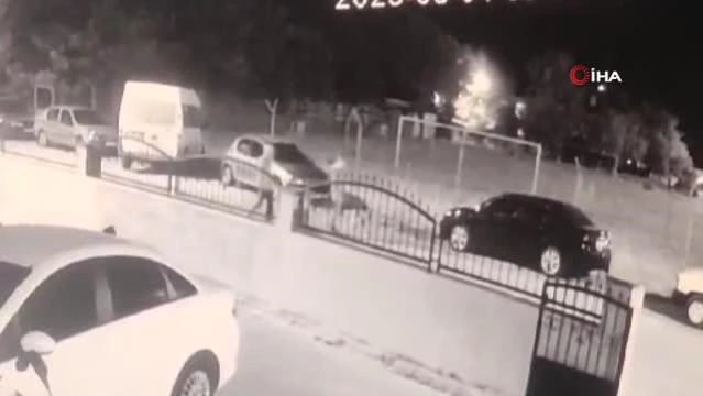 Tekirdağ'da motosiklet hırsızlığı kamerada - Son Dakika