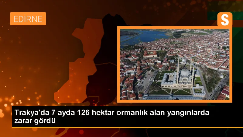 Trakya'da Orman Yangınlarındaki Zarar Geçen Yıla Göre İki Kat Arttı