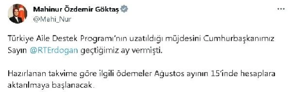 Türkiye Aile Destek Programı Ödemeleri 15 Ağustos'ta Başlıyor