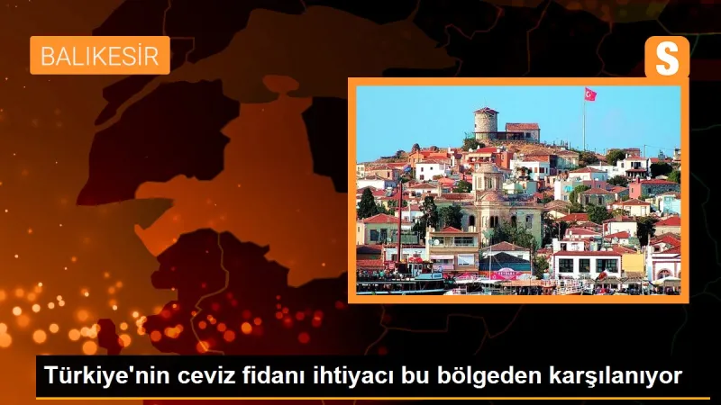 Türkiye'nin ceviz fidanı ihtiyacı bu bölgeden karşılanıyor