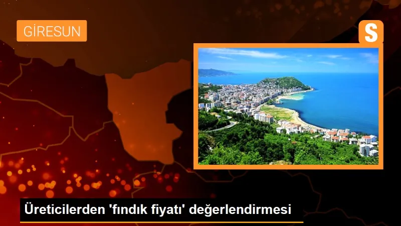 Üreticilerden 'fındık fiyatı' değerlendirmesi - Son Dakika