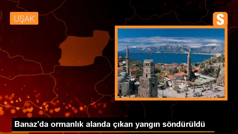 Uşak'ın Banaz ilçesinde ormanlık alanda yangın çıktı