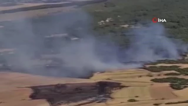 Yangında 14 hektar alanı zarar gördü