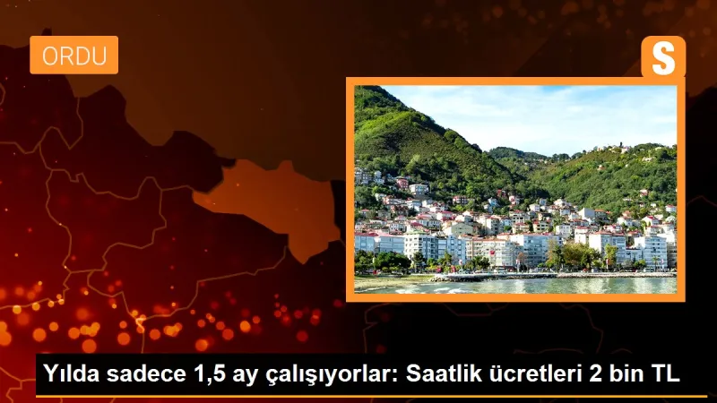 Yılda sadece 1,5 ay çalışıyorlar: Saatlik ücretleri 2 bin TL