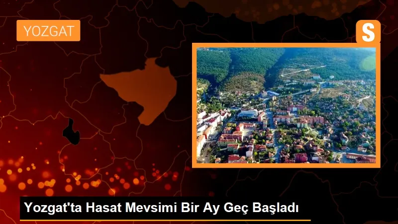 Yozgat'ta Hasat Mevsimi Bir Ay Geç Başladı