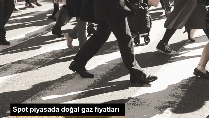 Spot Doğal Gaz Piyasasında Referans Fiyat 9 Bin 688 Lira 36 Kuruş