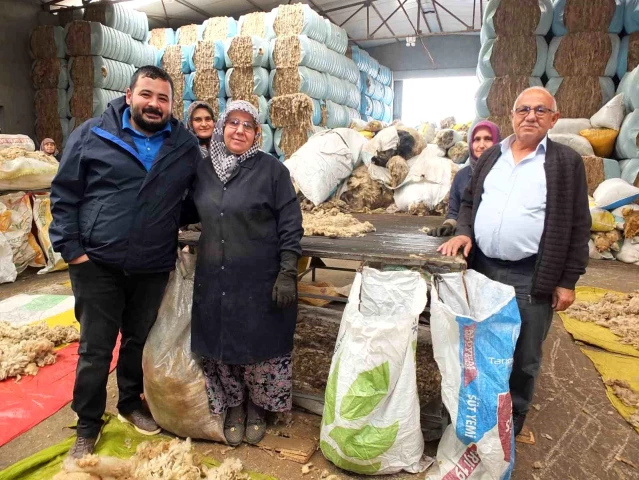 Balıkesir Koyununun Yünü Ülkeye Döviz Olacak