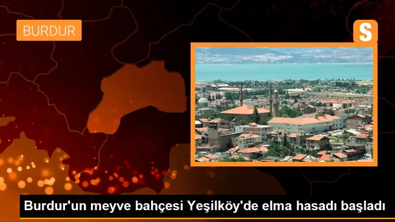 Burdur'un meyve bahçesi Yeşilköy'de elma hasadı başladı