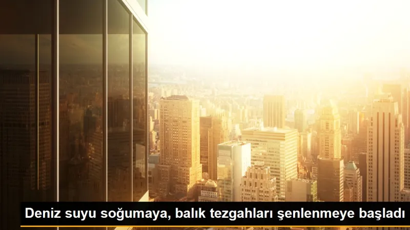 Deniz suyu soğumaya, balık tezgahları şenlenmeye başladı