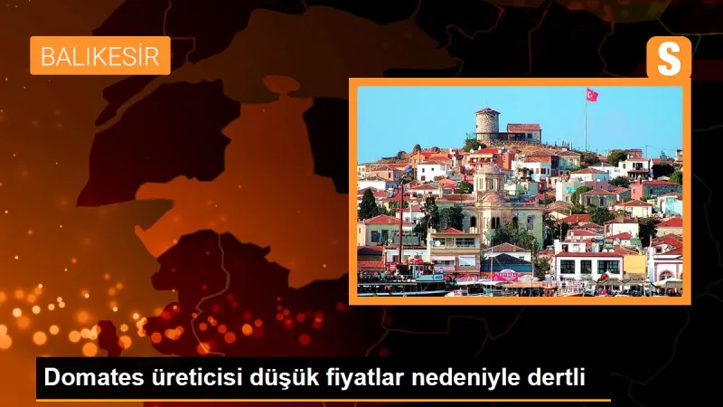 Domates üreticisi düşük fiyatlar nedeniyle dertli