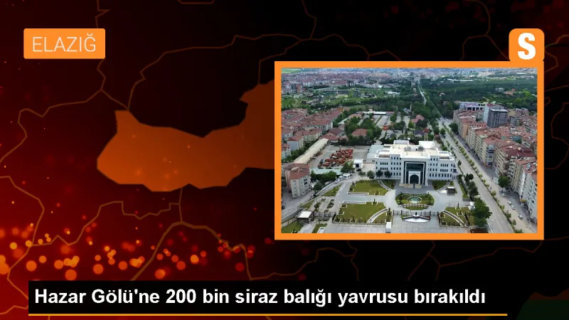 Elazığ Hazar Gölü'ne 200 Bin Yavru Siraz Balığı Takviyesi Yapıldı