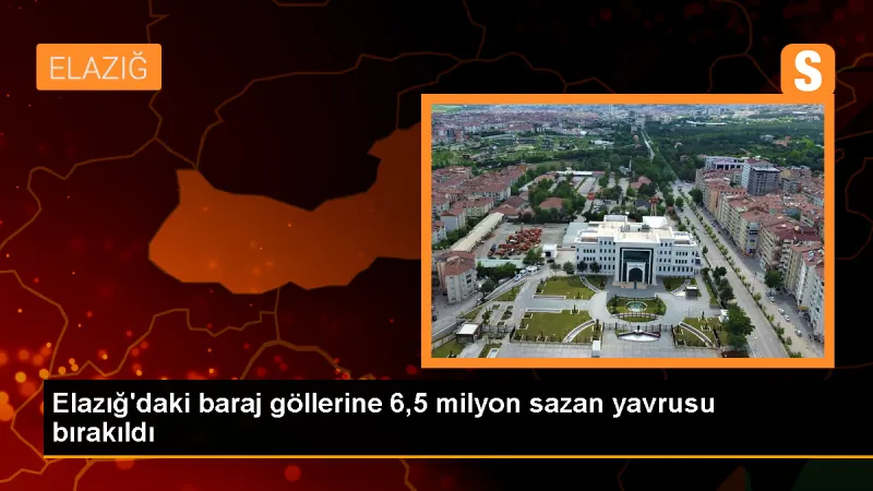 Elazığ'da 6,5 Milyon Sazan Yavrusu Baraj Göllerine Salındı