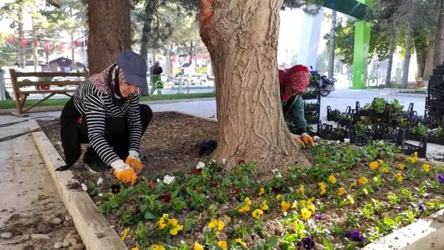 Ereğli'de Park ve Refüjlerde Çiçek Dikim Çalışmaları Devam Ediyor