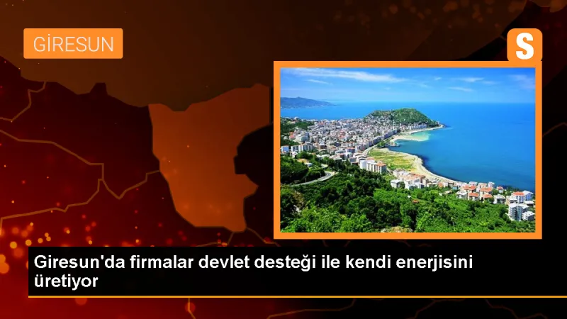 Giresun'da Firmalar Devlet Desteğiyle Güneş Enerji Santrali Kuruyor