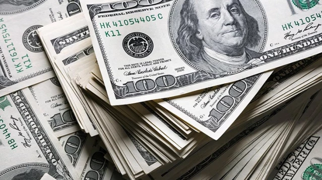 Google, doları 24 lira olarak gösterdi