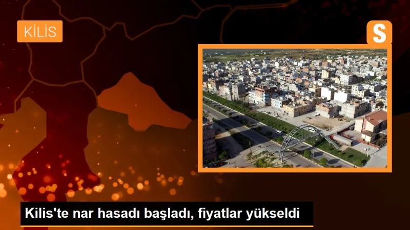 Kilis'te Nar Hasadı Başladı: Tarlada 10 TL, Markette 30 TL