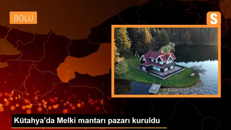 Kütahya'da Melki mantarı pazarı kuruldu