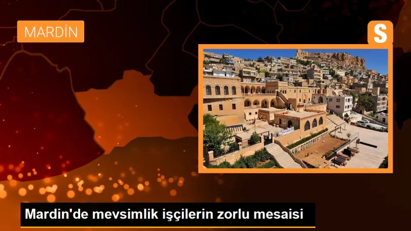 Mardin'de mevsimlik işçilerin zorlu mesaisi