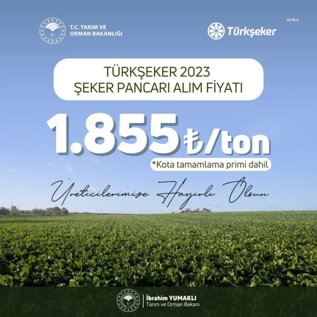 Şeker pancarı taban fiyatı bin 855 TL olarak açıklandı