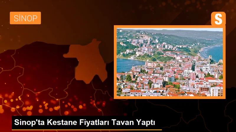 Sinop'ta Kestane Fiyatları Tavan Yaptı