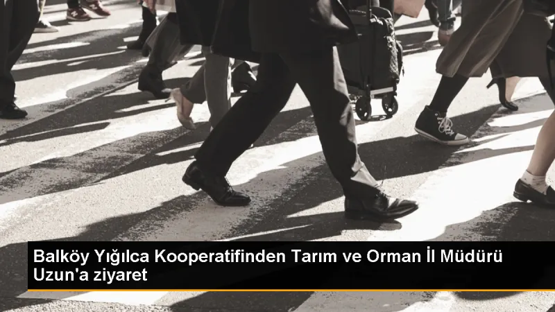 Tarım ve Orman İl Müdürü Esra Uzun, Balköy Yığılca Kooperatifi yönetimini kabul etti