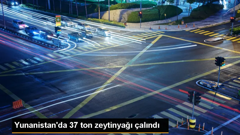 Yunanistan'da 37 Ton Zeytinyağı Çalındı