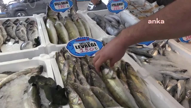 Aksaray'da Balık Hali İstemi - Son Dakika