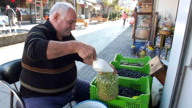 Balıkesir'de Kırma Zeytin Hazırlıkları Başladı