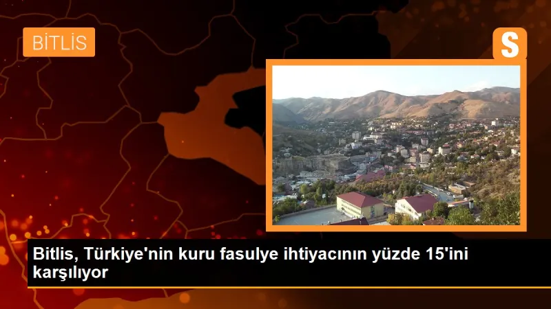Bitlis, Türkiye'nin kuru fasulye ihtiyacının yüzde 15'ini karşılıyor