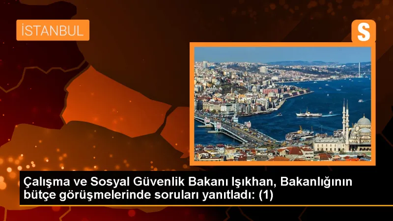 Çalışma ve Sosyal Güvenlik Bakanı: Asgari Ücretli Sayısı Abartılıyor