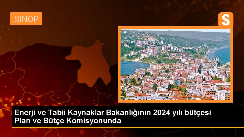 Enerji ve Tabii Kaynaklar Bakanlığının 2024 yılı bütçesi Plan ve Bütçe Komisyonunda