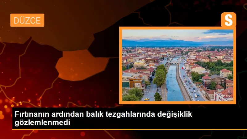 Fırtınanın ardından balık tezgahlarında değişiklik gözlemlenmedi