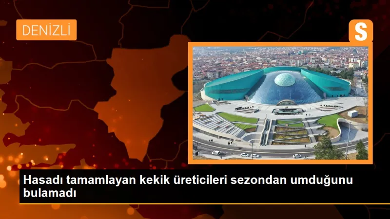 Hasadı tamamlayan kekik üreticileri sezondan umduğunu bulamadı