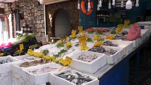 Iğdır'da Hamsi Fiyatları Düştü - Son Dakika