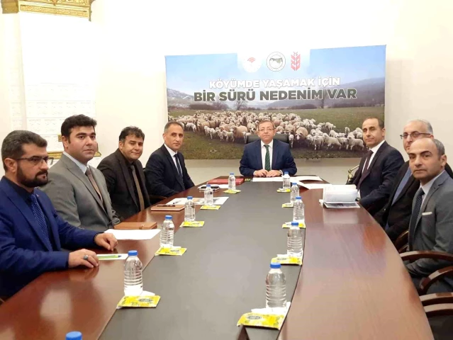 Kars'ta Küçükbaş Hayvancılık Projesi Uzatıldı