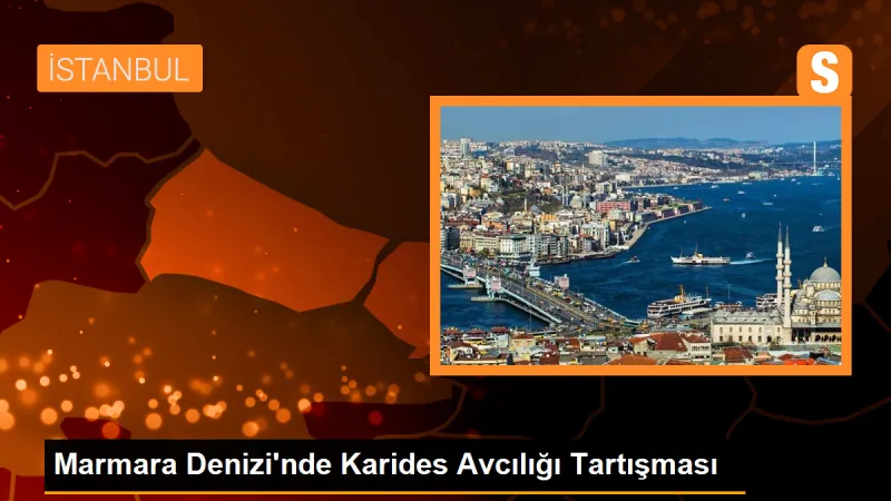Marmara Denizi'nde Karides Avcılığı Tartışması