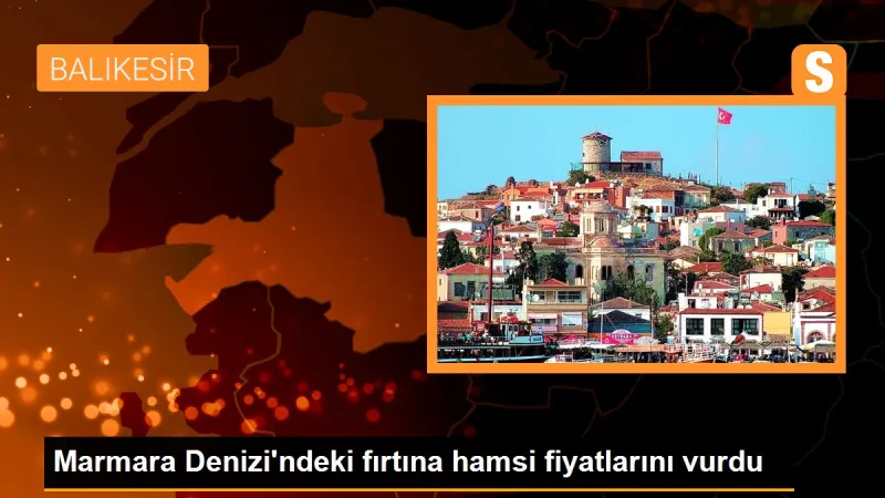 Marmara Denizi'ndeki fırtına hamsi fiyatlarını vurdu