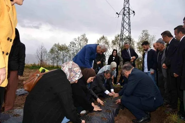 Yüksekovalı Kadınlara Tarımsal Hibeler Verildi