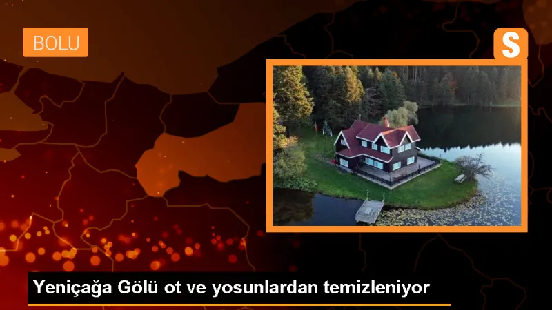 Bolu'da Yeniçağa Gölü'nde Ot ve Yosun Temizliği Başlatıldı