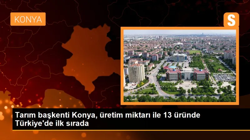 Tarım başkenti Konya, üretim miktarı ile 13 üründe Türkiye'de ilk sırada