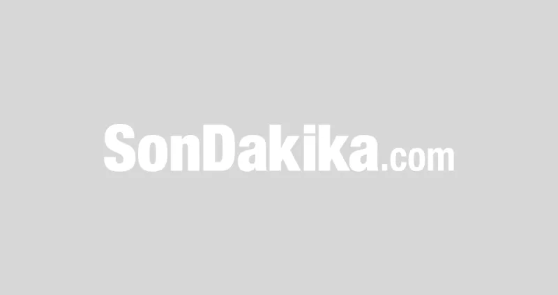 İçişleri Bakanı: Elazığ ve Konya'da 2 organize suç örgütü çökertildi