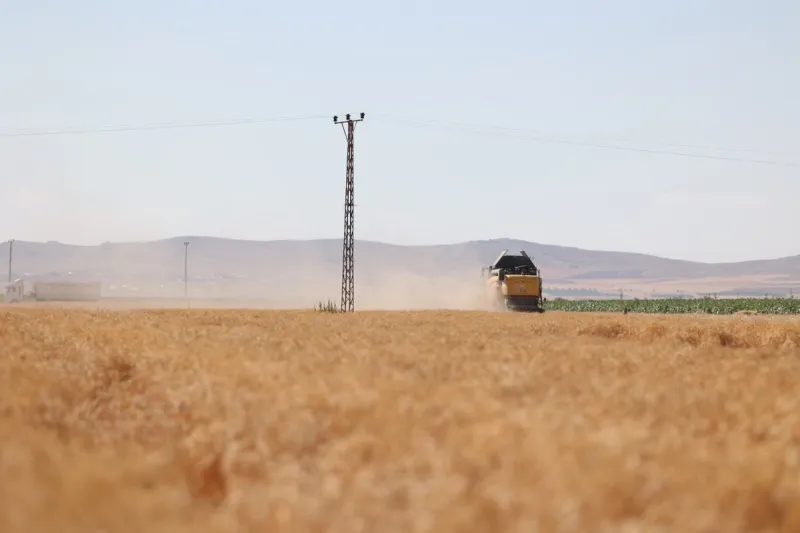 Başkan Altay Altınekin'de Hasat Coşkusuna Ortak Oldu - 14