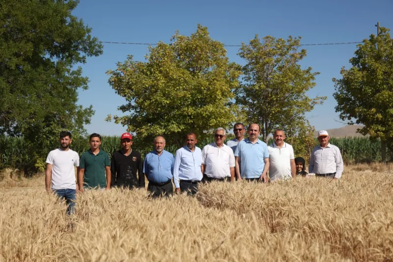 Başkan Altay Altınekin'de Hasat Coşkusuna Ortak Oldu - 6